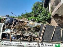 Best Dumpster Rental Services  in Ormond Beach, FL